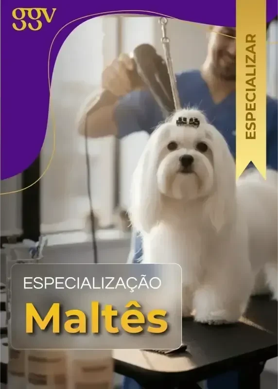 Imagem 5