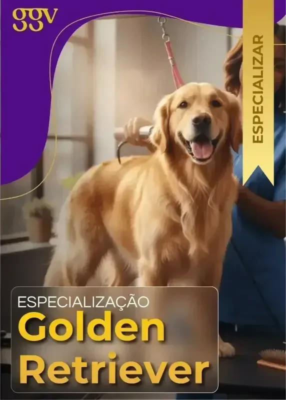 Imagem 8