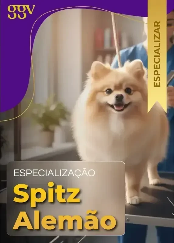 Imagem 9
