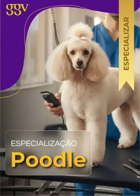 Imagem 10
