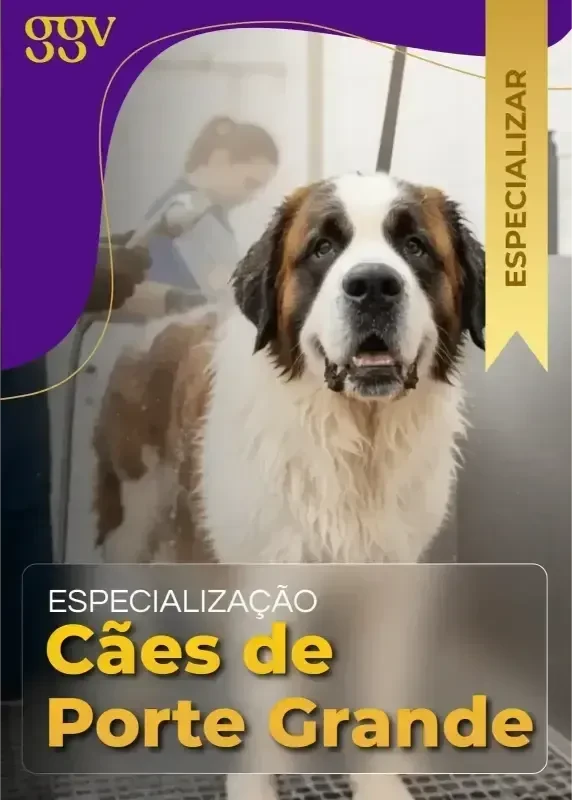 Imagem 12
