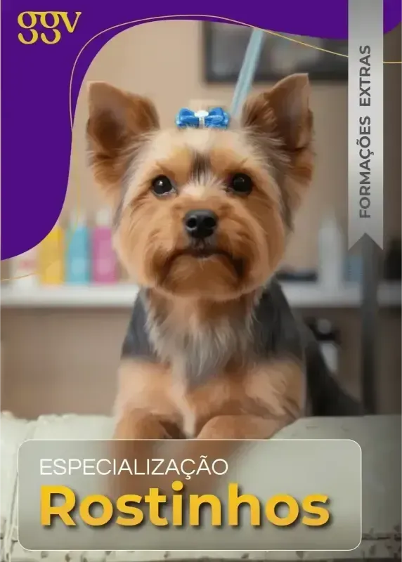Imagem 4