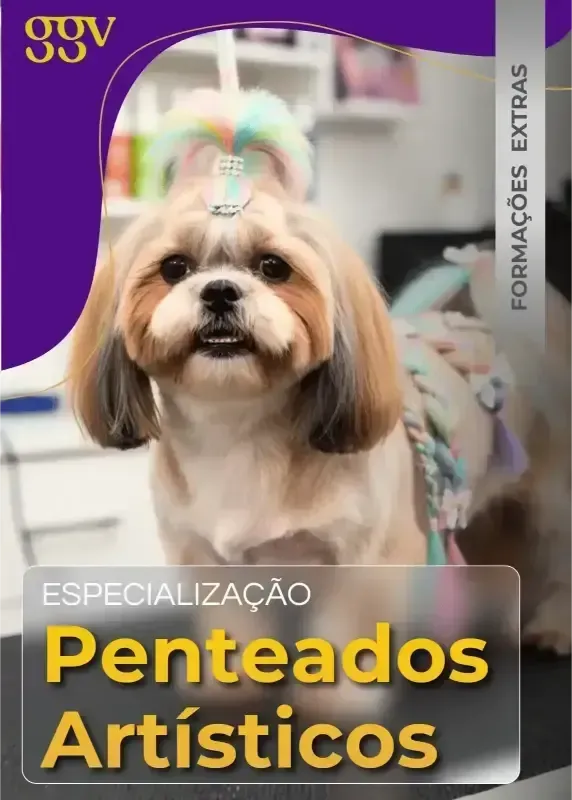 Imagem 5