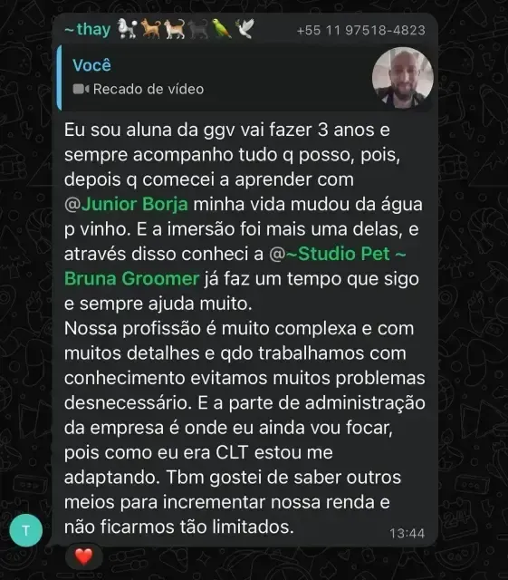 Imagem 3